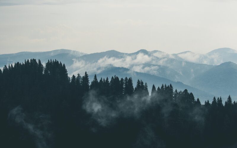 ShepherdTrail Blog - Nag Tibba 1