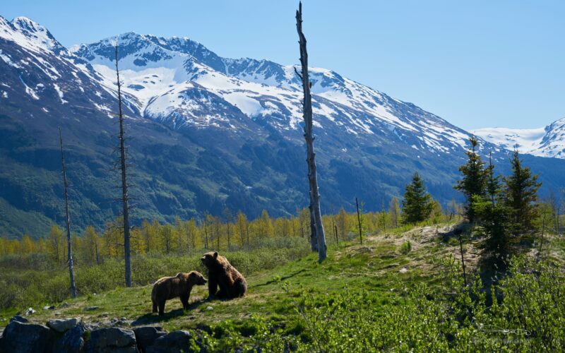 ShepherdTrail Blog - Jalsu pass 1 1