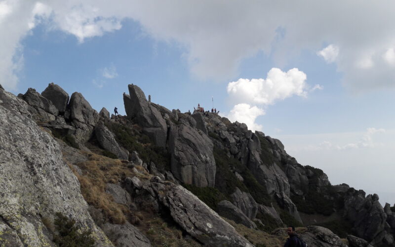 Churdhar Trek - shepherdtrail blog