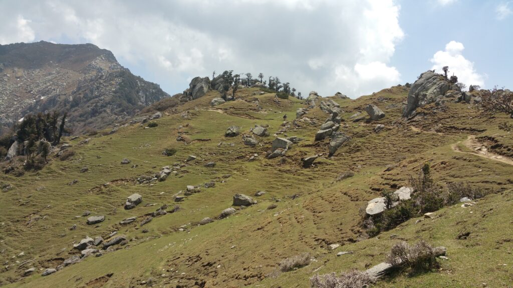 Meadows on Churdhar Trek 