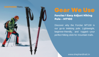 Forclaz 1 Easy Adjust Hiking Pole – MT100