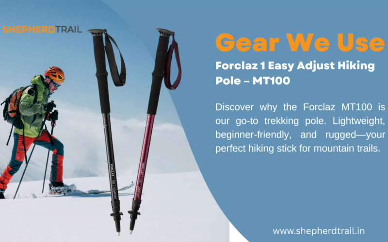 Forclaz 1 Easy Adjust Hiking Pole – MT100