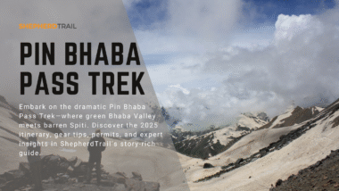 Pin Bhaba Pass Trek – Where Lush Forests Meet Barren Dreams