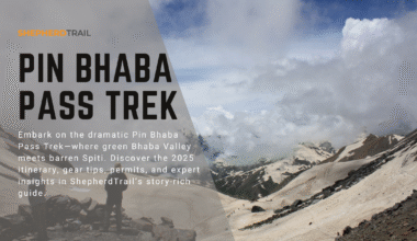 Pin Bhaba Pass Trek – Where Lush Forests Meet Barren Dreams