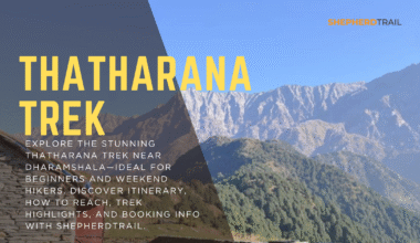Thatharana Trek – Dharamshala’s Hidden Ridge Adventure