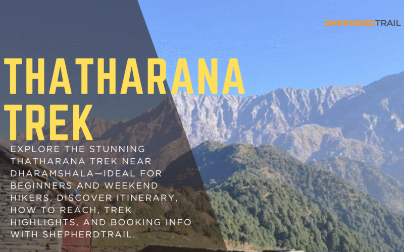 Thatharana Trek – Dharamshala’s Hidden Ridge Adventure