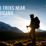 Top 10 Treks Near Chandigarh Scenic Escapes Under 100 KM
