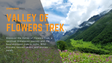 Valley Of Flowers Trek Best monsoon trek in India
