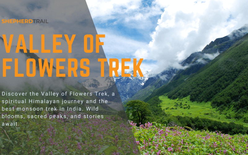 Valley Of Flowers Trek Best monsoon trek in India