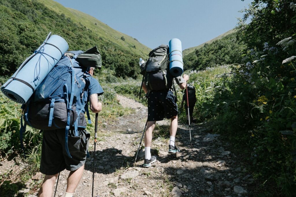 Trekking Poles