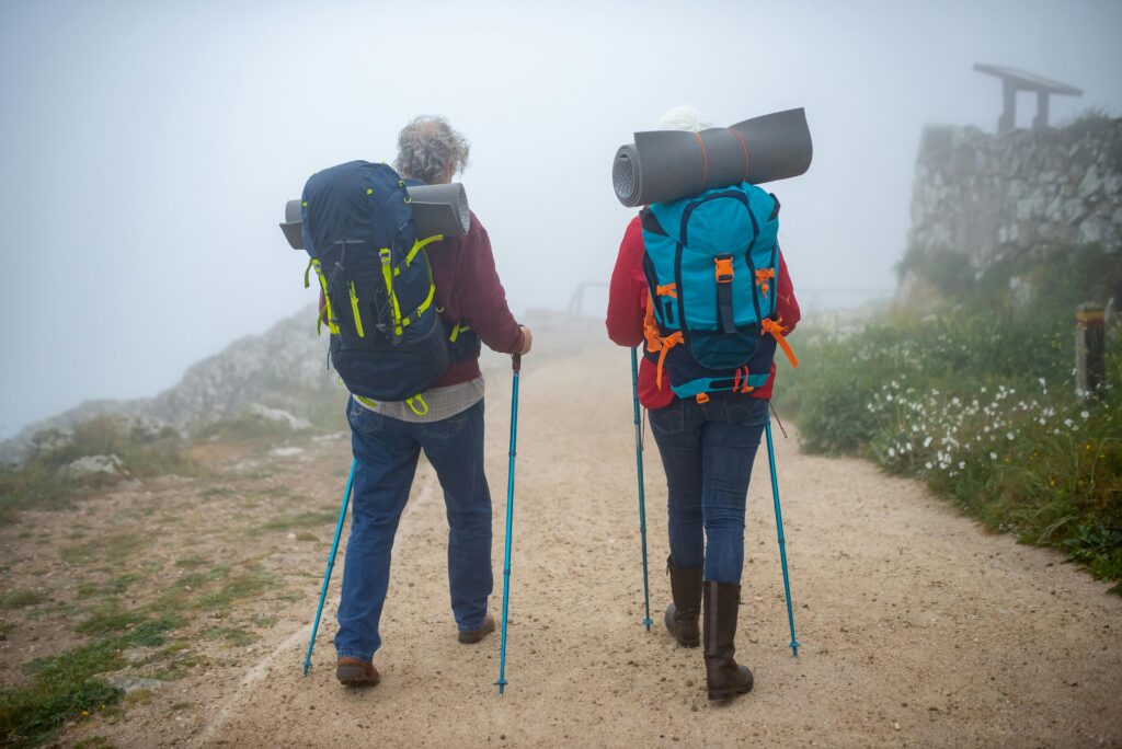 Hiking Pole, Trekking Pole